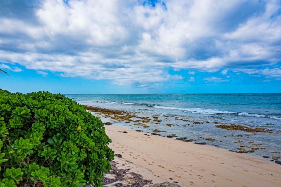 Columbus Cove, New Providence Island, The Bahamas